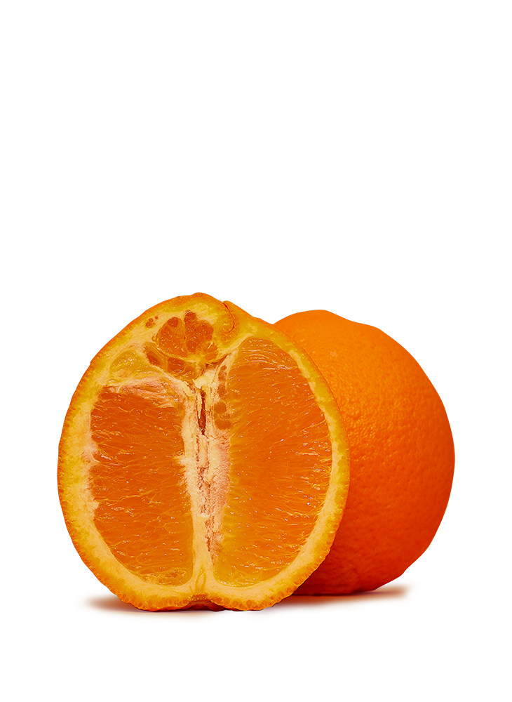 Acheter des nombrils oranges en ligne dans la boutique